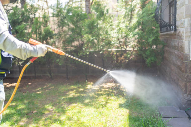 Best Lawn Pest Control  in North Merrick, NY